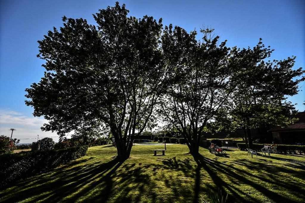 Agriturismo Bella Cima Montefiascone Bagian luar foto