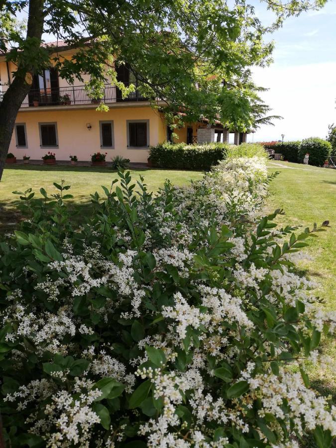 Agriturismo Bella Cima Montefiascone Bagian luar foto